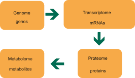 metabolomics metabolomics