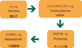 metabolome metabolome