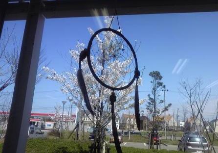 20090421-2.jpg 20090421-2.jpg